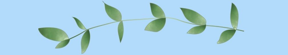 wreath - 54